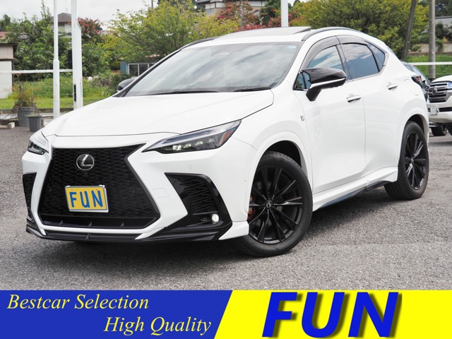 Lexus NX 1