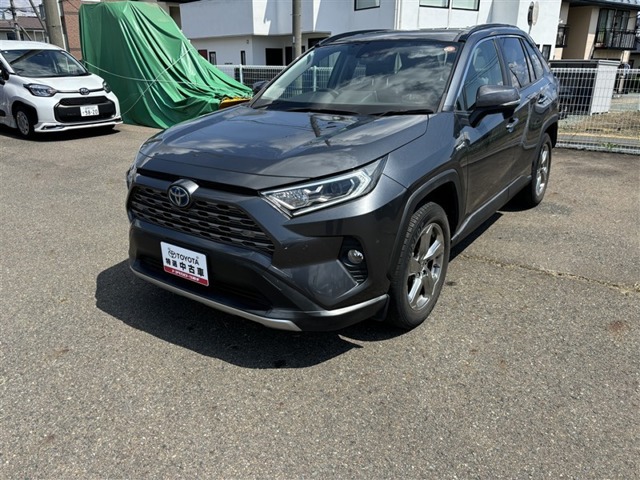 2019 Toyota RAV4