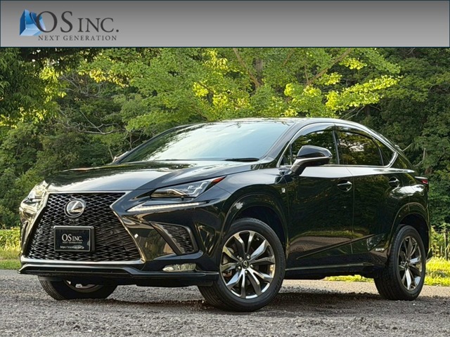 2020 Lexus NX