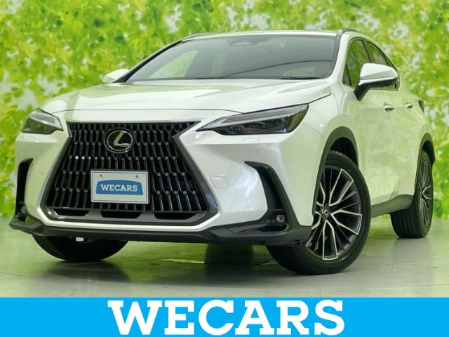 Lexus NX 1