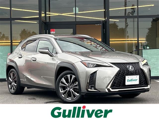 2019 Lexus UX