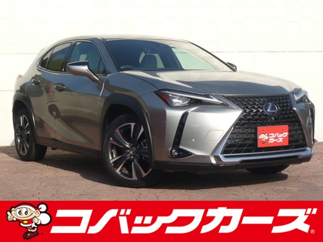 Lexus UX 1