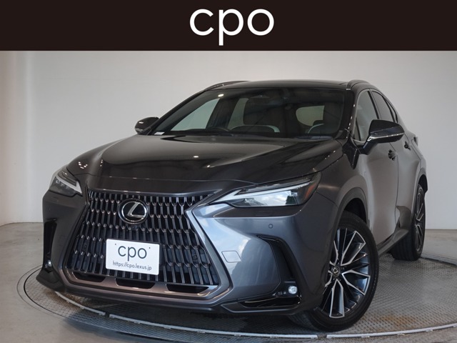 Lexus NX 1