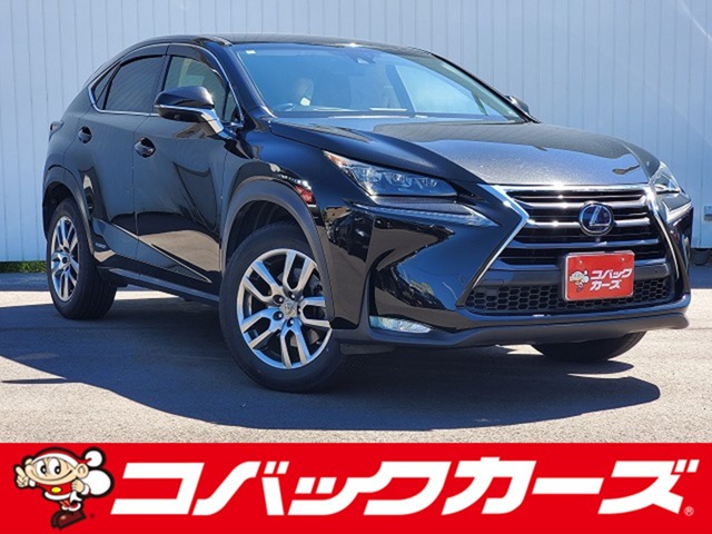 2014 Lexus NX