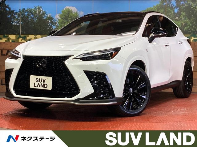 Lexus NX 1