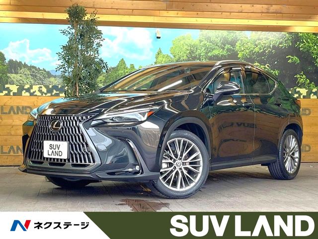 2023 Lexus NX