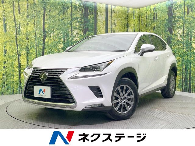 Lexus NX 1