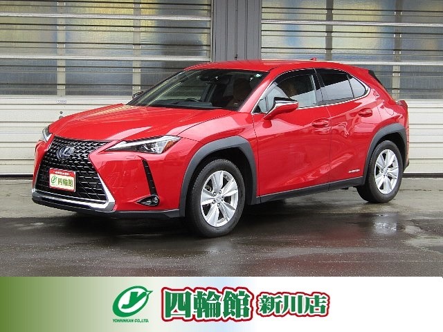 2019 Lexus UX