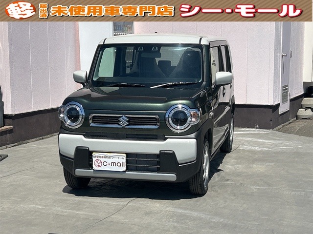 Suzuki Hustler 1