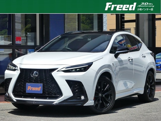 Lexus NX 1