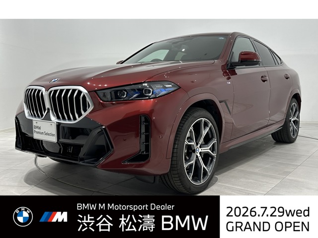 2025 BMW X6