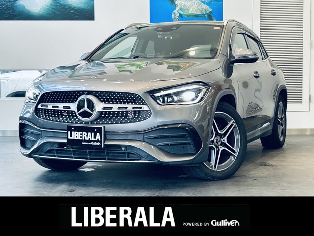 Mercedes-Benz GLA-Class 1