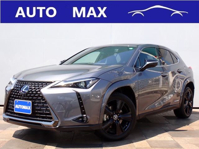 Lexus UX 1