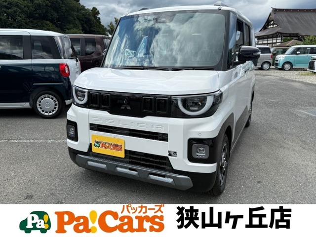 Mitsubishi Delica Mini 1