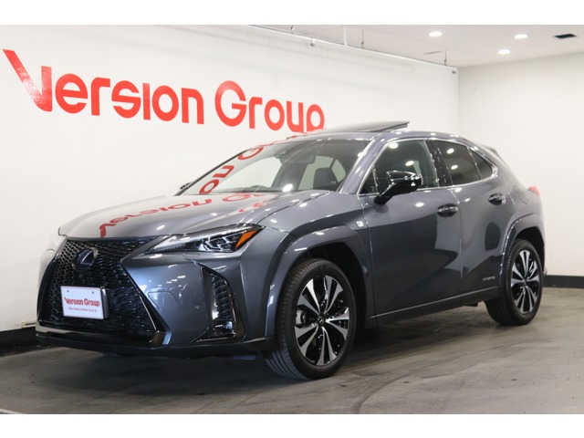 2021 Lexus UX