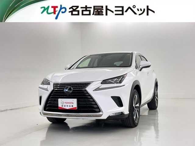 2018 Lexus NX
