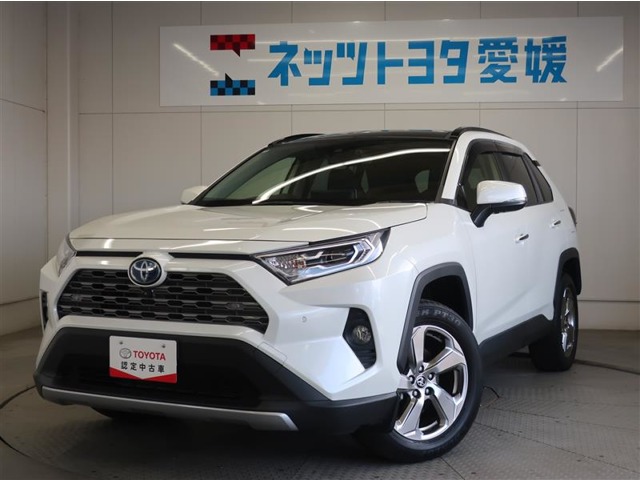 2020 Toyota RAV4