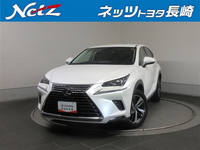 Lexus NX 1