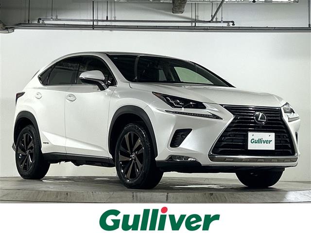 2018 Lexus NX