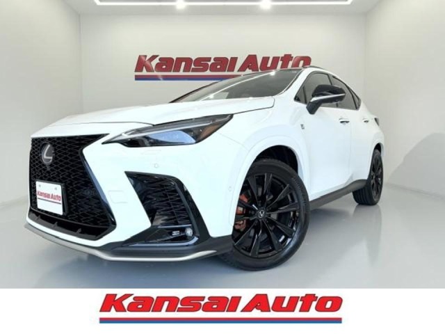 2025 Lexus NX