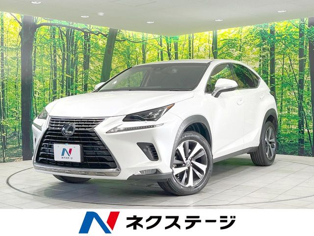 Lexus NX 1
