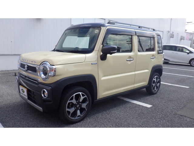 Suzuki Hustler 1