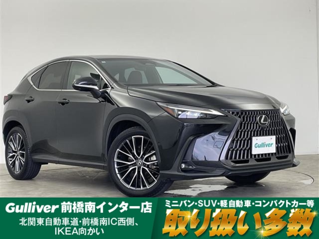 Lexus NX 1