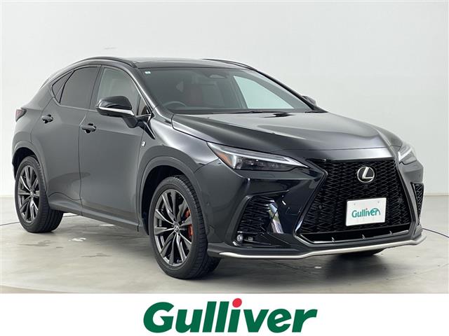 2024 Lexus NX