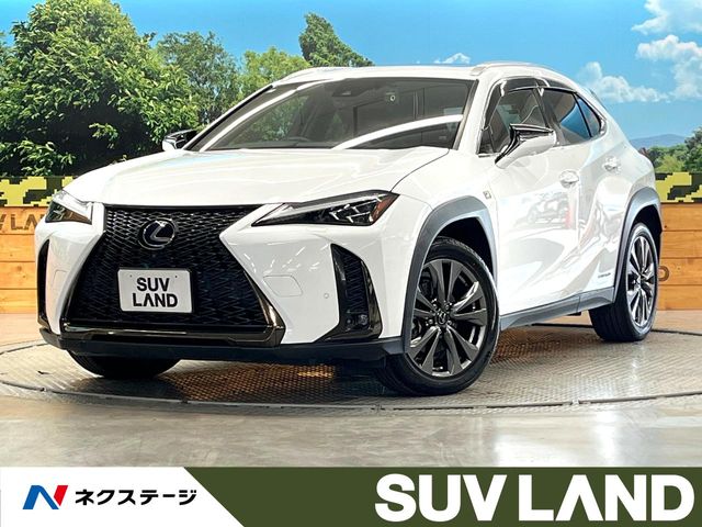 2021 Lexus UX