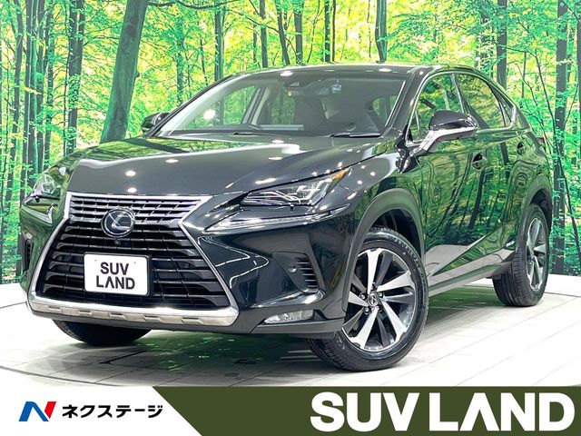 2018 Lexus NX