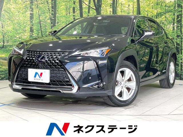 2020 Lexus UX