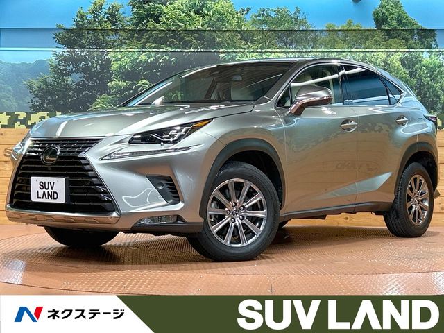 Lexus NX 1