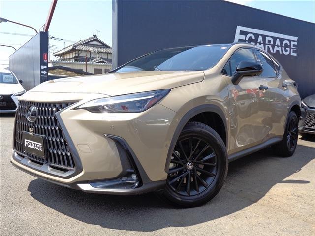 Lexus NX 1