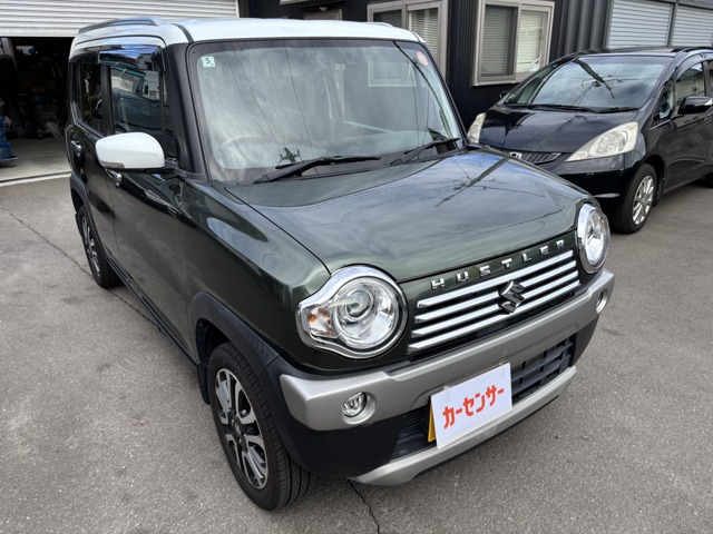 Suzuki Hustler 1
