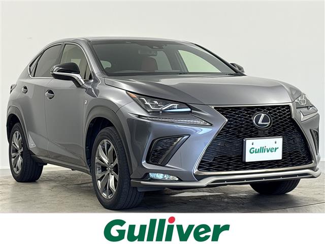 2019 Lexus NX