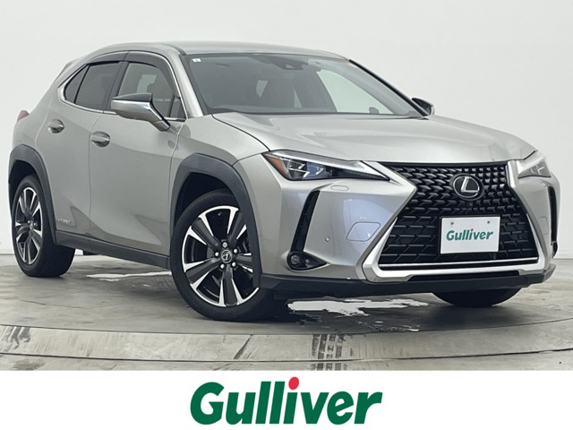 2019 Lexus UX