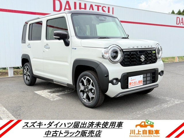Suzuki Hustler 1