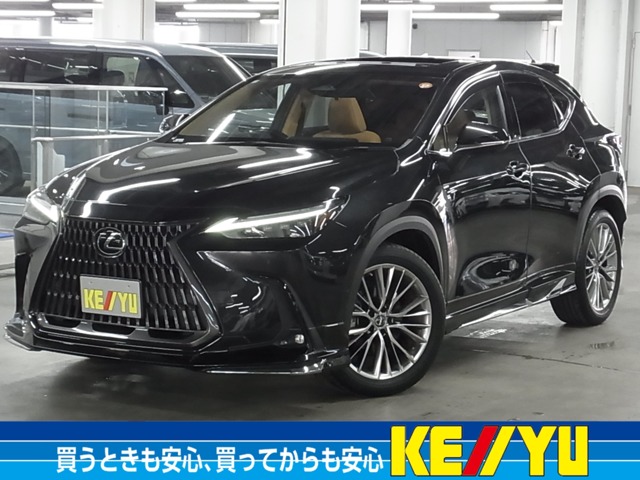 2022 Lexus NX