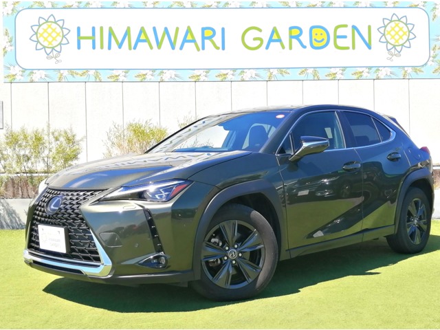 Lexus UX 1