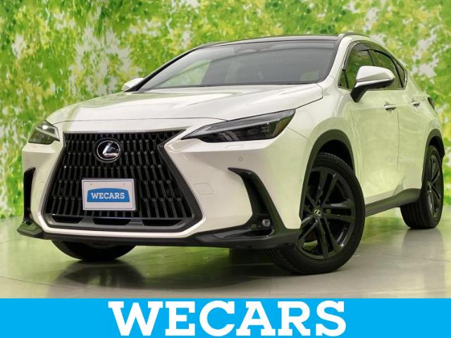 Lexus NX 1