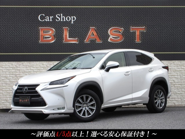 Lexus NX 1