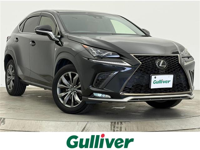 2019 Lexus NX