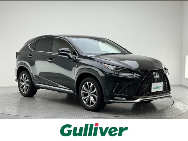 Lexus NX 1