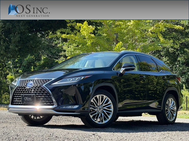 2019 Lexus RX