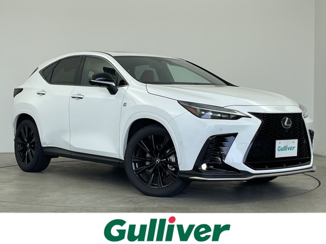 Lexus NX 1