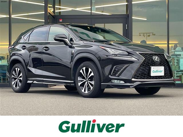 Lexus NX 1