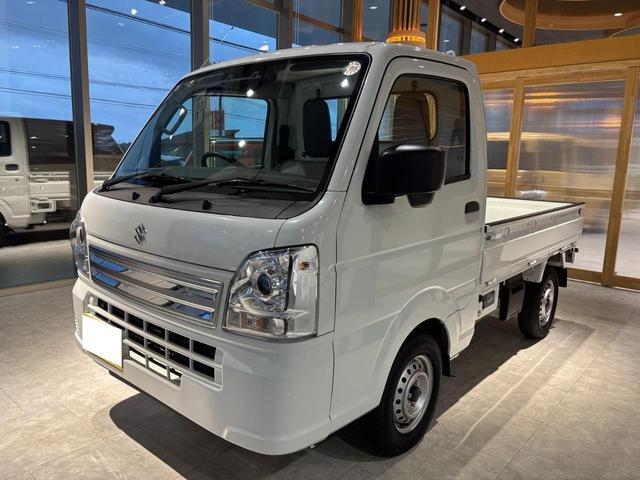 Suzuki Carry 1