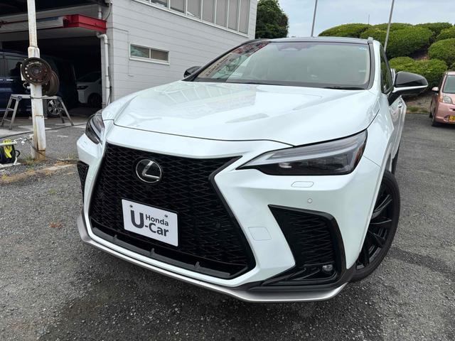 2024 Lexus NX