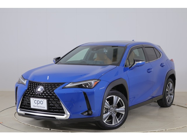 2023 Lexus UX300e