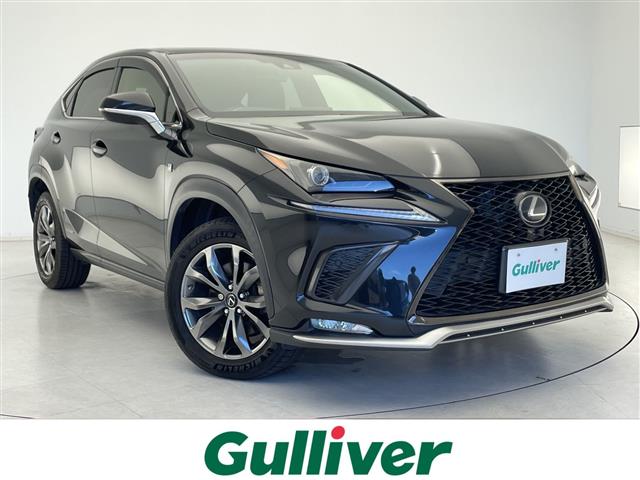 Lexus NX 1